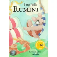 Ifjúsági regény