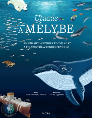 Utazás a mélybe - Ismerd meg a tenger élővilágát a felszíntől a tengerfenékig